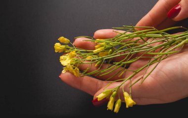 Renkli kağıtta güzel çiçekler. Örgü için en üstteki görünüm.