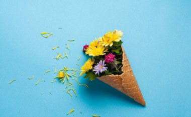 Renkli kağıtta güzel çiçekler. Örgü için en üstteki görünüm.