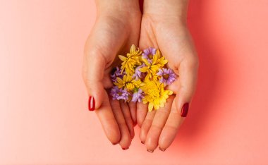 Renkli kağıtta güzel çiçekler. Örgü için en üstteki görünüm.