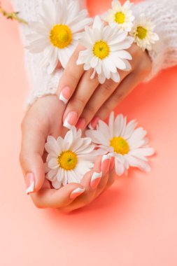 İnce genç eller, ince bilekli, temiz ciltli ve Fransız manikürlü çiçekleri tutuyor. Düz yatay fotoğraf, metin için yer.