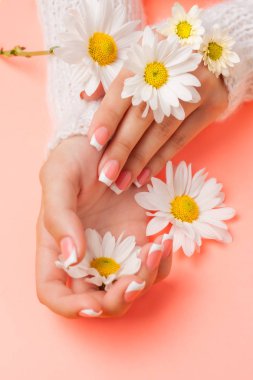 İnce genç eller, ince bilekli, temiz ciltli ve Fransız manikürlü çiçekleri tutuyor. Düz yatay fotoğraf, metin için yer.