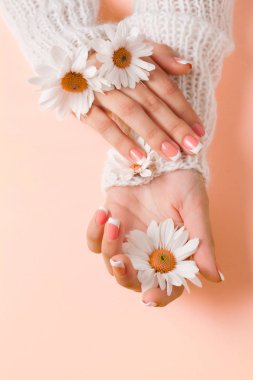 İnce genç eller, ince bilekli, temiz ciltli ve Fransız manikürlü çiçekleri tutuyor. Düz yatay fotoğraf, metin için yer.