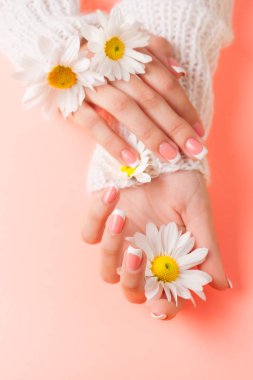 İnce genç eller, ince bilekli, temiz ciltli ve Fransız manikürlü çiçekleri tutuyor. Düz yatay fotoğraf, metin için yer.