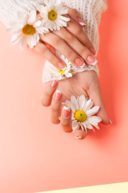 İnce genç eller, ince bilekli, temiz ciltli ve Fransız manikürlü çiçekleri tutuyor. Düz yatay fotoğraf, metin için yer.