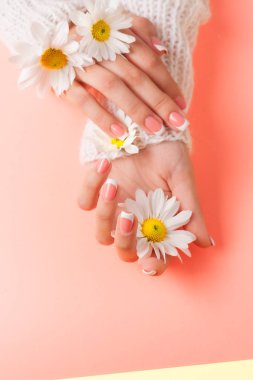 İnce genç eller, ince bilekli, temiz ciltli ve Fransız manikürlü çiçekleri tutuyor. Düz yatay fotoğraf, metin için yer.