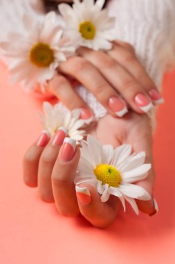 İnce genç eller, ince bilekli, temiz ciltli ve Fransız manikürlü çiçekleri tutuyor. Düz yatay fotoğraf, metin için yer.