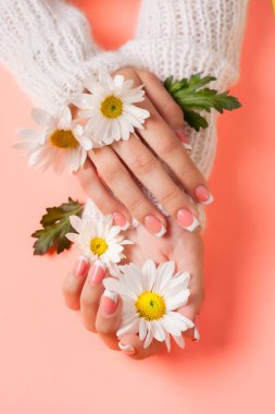 İnce genç eller, ince bilekli, temiz ciltli ve Fransız manikürlü çiçekleri tutuyor. Düz yatay fotoğraf, metin için yer.