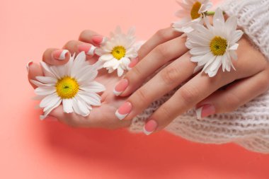 İnce genç eller, ince bilekli, temiz ciltli ve Fransız manikürlü çiçekleri tutuyor. Düz yatay fotoğraf, metin için yer.