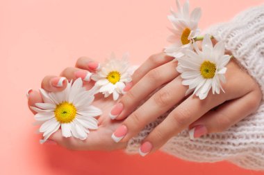 İnce genç eller, ince bilekli, temiz ciltli ve Fransız manikürlü çiçekleri tutuyor. Düz yatay fotoğraf, metin için yer.