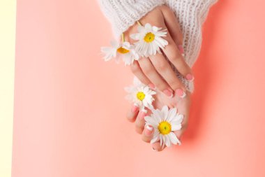 İnce genç eller, ince bilekli, temiz ciltli ve Fransız manikürlü çiçekleri tutuyor. Düz yatay fotoğraf, metin için yer.