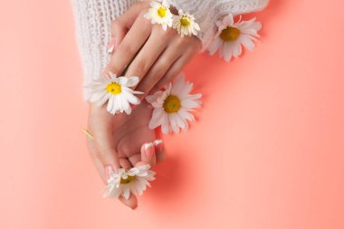 İnce genç eller, ince bilekli, temiz ciltli ve Fransız manikürlü çiçekleri tutuyor. Düz yatay fotoğraf, metin için yer.