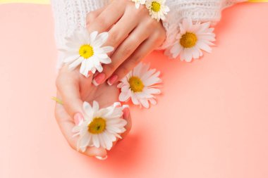 İnce genç eller, ince bilekli, temiz ciltli ve Fransız manikürlü çiçekleri tutuyor. Düz yatay fotoğraf, metin için yer.