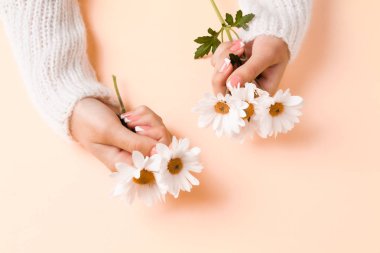 İnce genç eller, ince bilekli, temiz ciltli ve Fransız manikürlü çiçekleri tutuyor. Düz yatay fotoğraf, metin için yer.