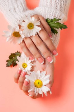İnce genç eller, ince bilekli, temiz ciltli ve Fransız manikürlü çiçekleri tutuyor. Düz yatay fotoğraf, metin için yer.