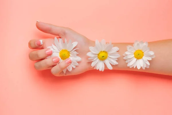 Slender young hands hold flowers, with a thin wrist, clean skin and French manicure. Flat lay photo, with place for text.