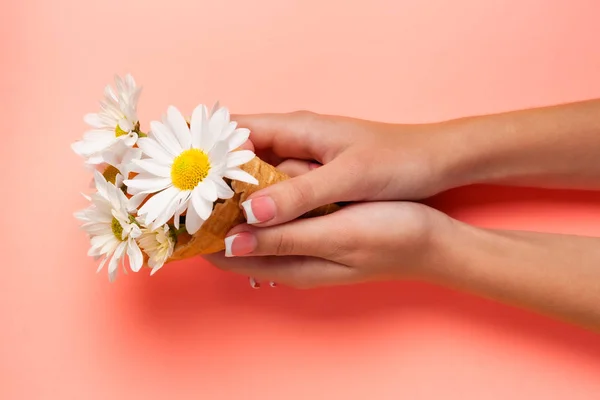 Slender young hands hold flowers, with a thin wrist, clean skin and French manicure. Flat lay photo, with place for text.