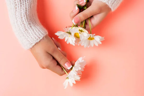 Slender young hands hold flowers, with a thin wrist, clean skin and French manicure. Flat lay photo, with place for text.