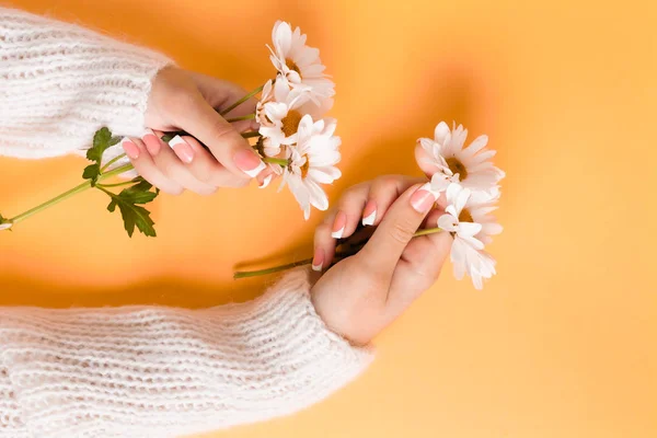 Slender young hands hold flowers, with a thin wrist, clean skin and French manicure. Flat lay photo, with place for text.