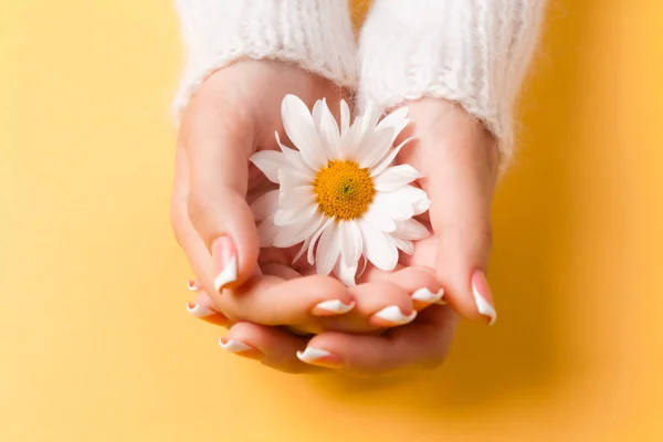 Slender young hands hold flowers, with a thin wrist, clean skin and French manicure. Flat lay photo, with place for text.