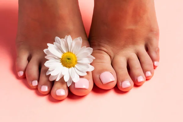 Voeten Van Een Meisje Bloemknoppen Van Madeliefjes Roze Pedicure Een — Stockfoto