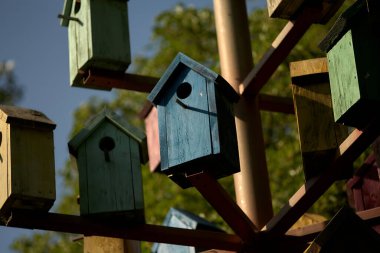 Parkın arka planında metal bir direğin üzerinde bir sürü renkli kuş evi var. Kentleşme ve aşırı nüfus kavramı. Çok renkli parlak ahşap evler - kuş evleri.