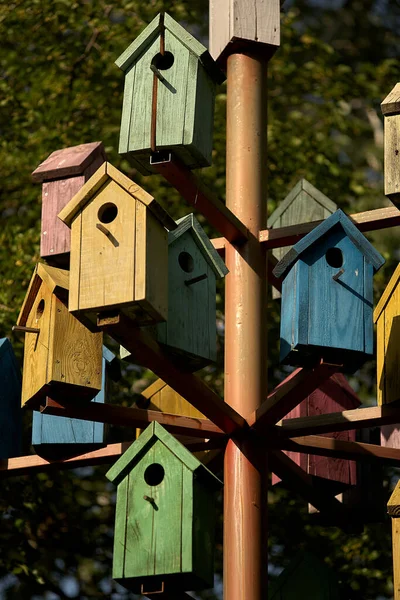 Monte Casas Pássaros Coloridas Poste Metal Contra Pano Fundo Parque — Fotografia de Stock