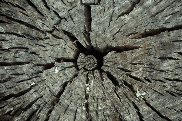 Okrągłe Ścięte Drzewo Pierścieniami Pęknięciami Stara Struktura Drewna Zamknij Widok — Zdjęcie stockowe