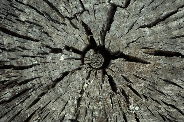 Στρογγυλό Κομμένο Δέντρο Ετήσιους Δακτυλίους Και Ρωγμές Παλιά Υφή Ξύλου — Φωτογραφία Αρχείου
