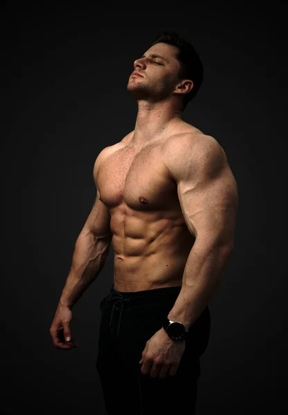 Estetik, kaslı, üstsüz bir adam. Hedeflere, motivasyona, düşünmeye odaklan. Güçlü bir vücut geliştirici, mükemmel karın kasları, omuzlar, pazılar, trisepsler ve göğüs. Siyah bir arkaplanda izole edilmiş.