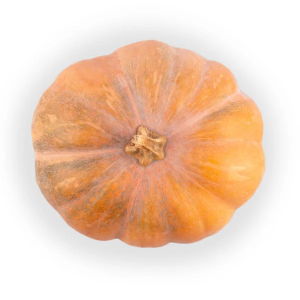 Pumpkin Isolated White Background Medium Size Top View — Stock Photo, Image