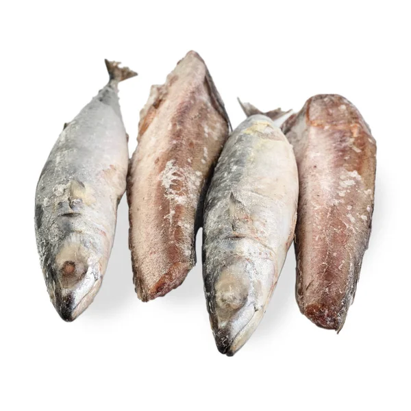 Frozen Mackerel Hake Isolated White Background Assortment Frozen Fish Group — Stock Photo, Image