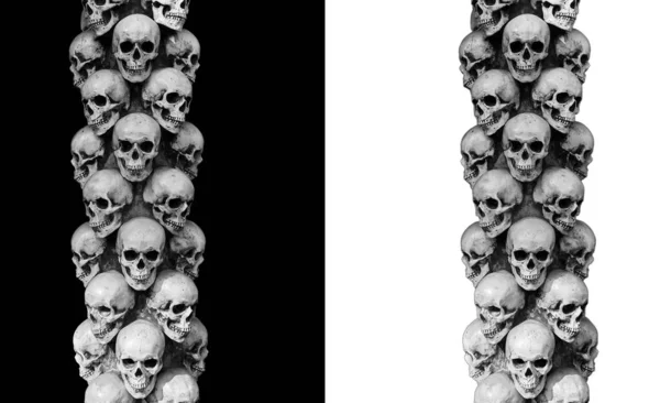 Birçok Insan Kafatası Beyaz Siyah Arka Planda Izole Edilmiştir — Stok fotoğraf