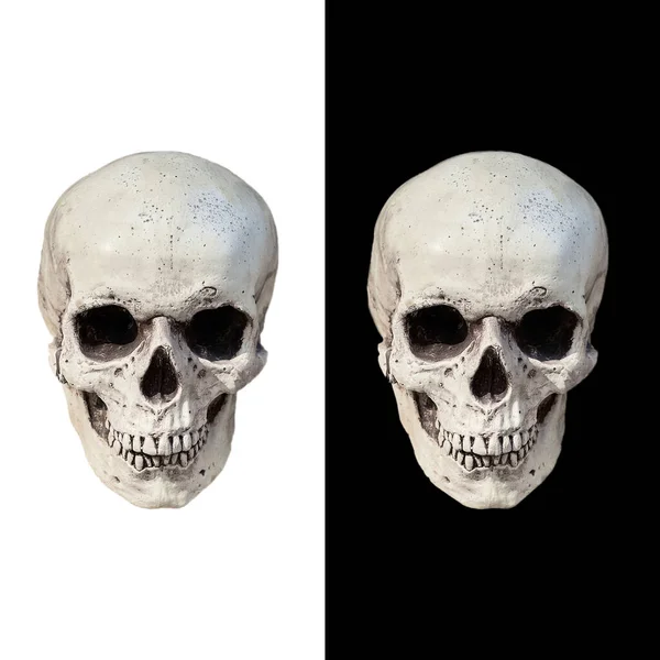 在白色和黑色背景上隔离的装饰人类头骨 — 图库照片