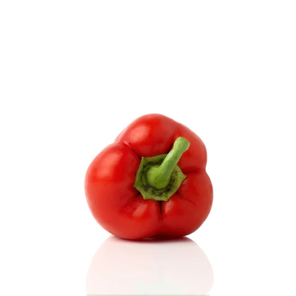 Красный Перец Колокольчика Сладкий Capsicum Paprika Изолирован Белом Фоне Целый — стоковое фото