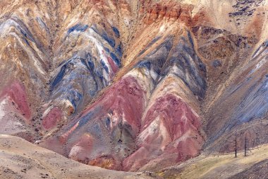 Çatlak, kırık, nadir bitki örtüsü ve larches ön planda ile renkli taş kaplamaların şaşırtıcı arka plan