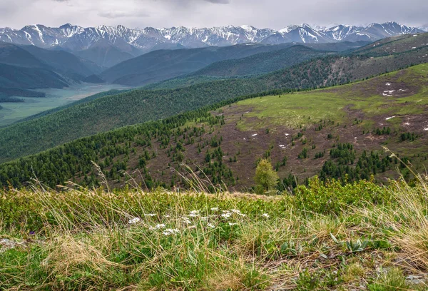 Vista Panorâmica Sobre Montanhas Nevadas Vale Encostas Montanha Cobertas Floresta — Fotografia de Stock