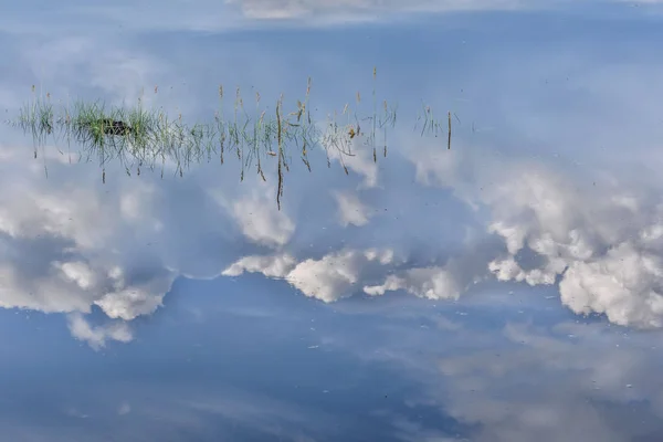 Streszczenie Tło Niebieskiego Trawy Jeziora Refleksje Blue Sky Chmury Wodzie — Zdjęcie stockowe