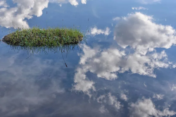 Streszczenie Tło Niebieskiego Trawy Jeziora Refleksje Blue Sky Chmury Wodzie — Zdjęcie stockowe