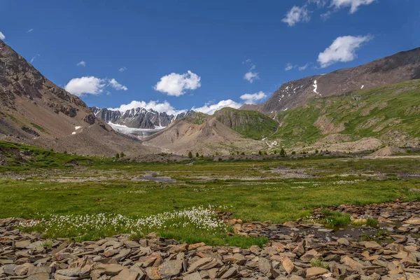 壮观的景色与山 石头和美丽的白色蓬松的花朵 Eriophorum 在绿色的草地上对蓝天 — 图库照片