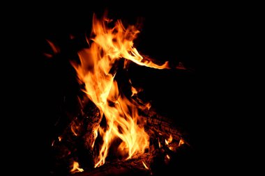 Sarı, kırmızı ve turuncu spurts alevler, kömür ve odun siyah bir arka plan bir ateşin ortasına bir yangında
