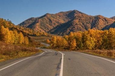 Altın arka plan mavi gökyüzünün kenarında ağaçta ormanıyla kaplı dağlarında asfalt yol