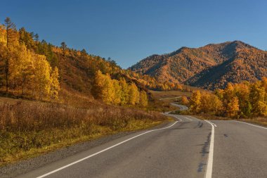 Altın arka plan mavi gökyüzünün kenarında ağaçta ormanıyla kaplı dağlarında asfalt yol