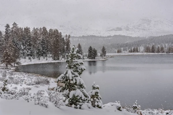 Primeira Neve Sobre Lago Floresta Árvores Nas Montanhas Contra Céu — Fotografia de Stock