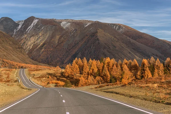 Barevné Podzimní Pohled Asfaltovou Silnici Horách První Sníh Golden Stromy — Stock fotografie