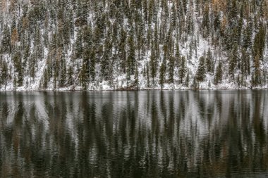 Natura arka plan yeşil çam ağaçları ve beyaz kar dağ ve su yansımaları Gölü nün yamacında