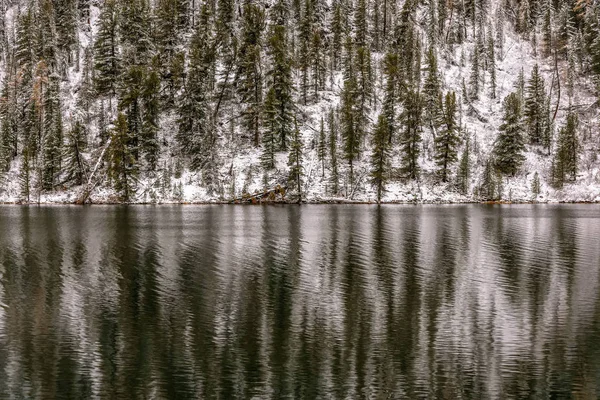 Natura arka plan yeşil çam ağaçları ve beyaz kar dağ ve su yansımaları Gölü nün yamacında