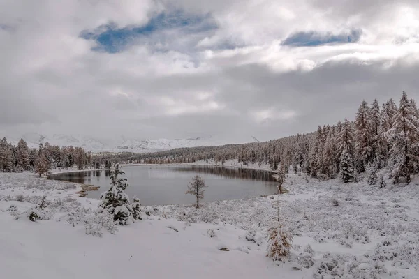 Bela Paisagem Nevada Com Lago Uma Floresta Árvores Nas Montanhas — Fotografia de Stock