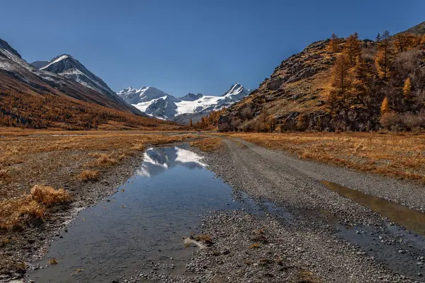 惊人的秋天的风景与沿着河流的冰川砾石路 金色的树木和雪山的倒影对蓝天的白云 — 图库照片