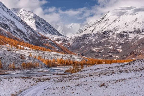 令人惊叹的秋景与第一雪 金色的落叶松在山坡上 蜿蜒的河流和道路 — 图库照片