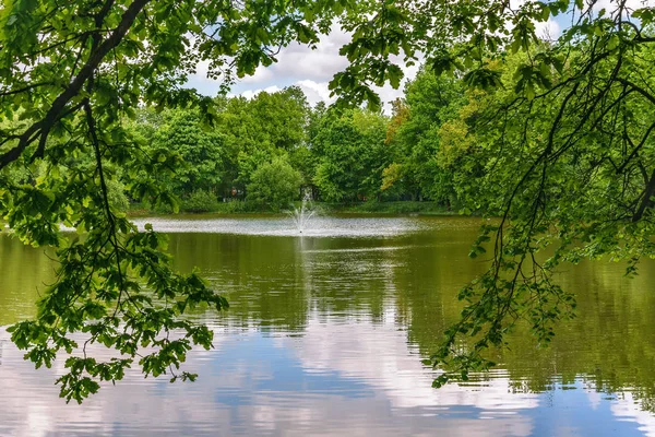 Park Teich Springbrunnen Bäume Reflexion — Stockfoto
